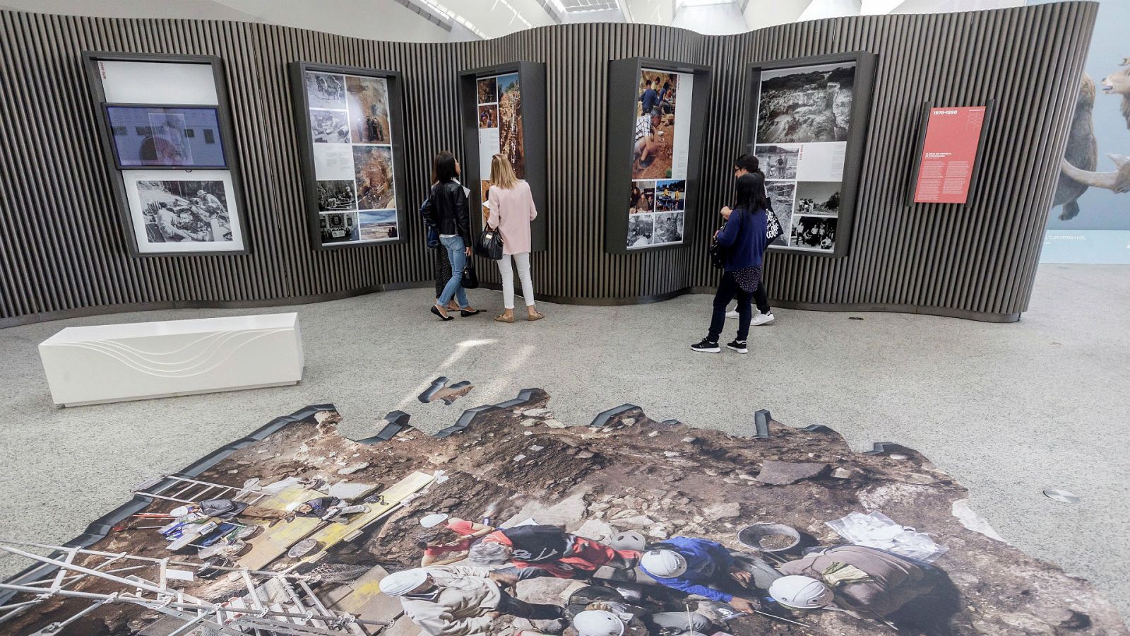 14 horas - El Museo de la Evolución Humana cumple diez años - Escuchar ahora