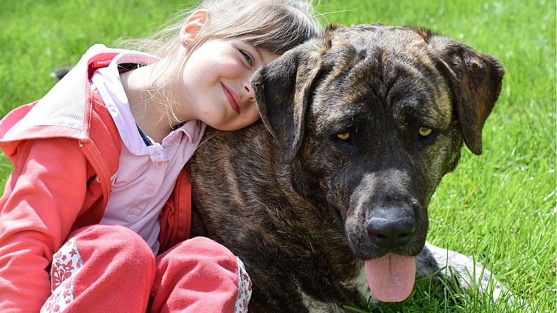 Todo Noticias Tarde - Perros contra el estrés infantil en los juzgados - Escuchar ahora