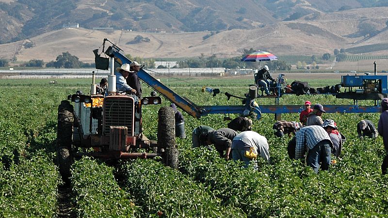Por tres razones - Los temporeros, grandes afectados de la pandemia - 21/07/20 - escuchar ahora