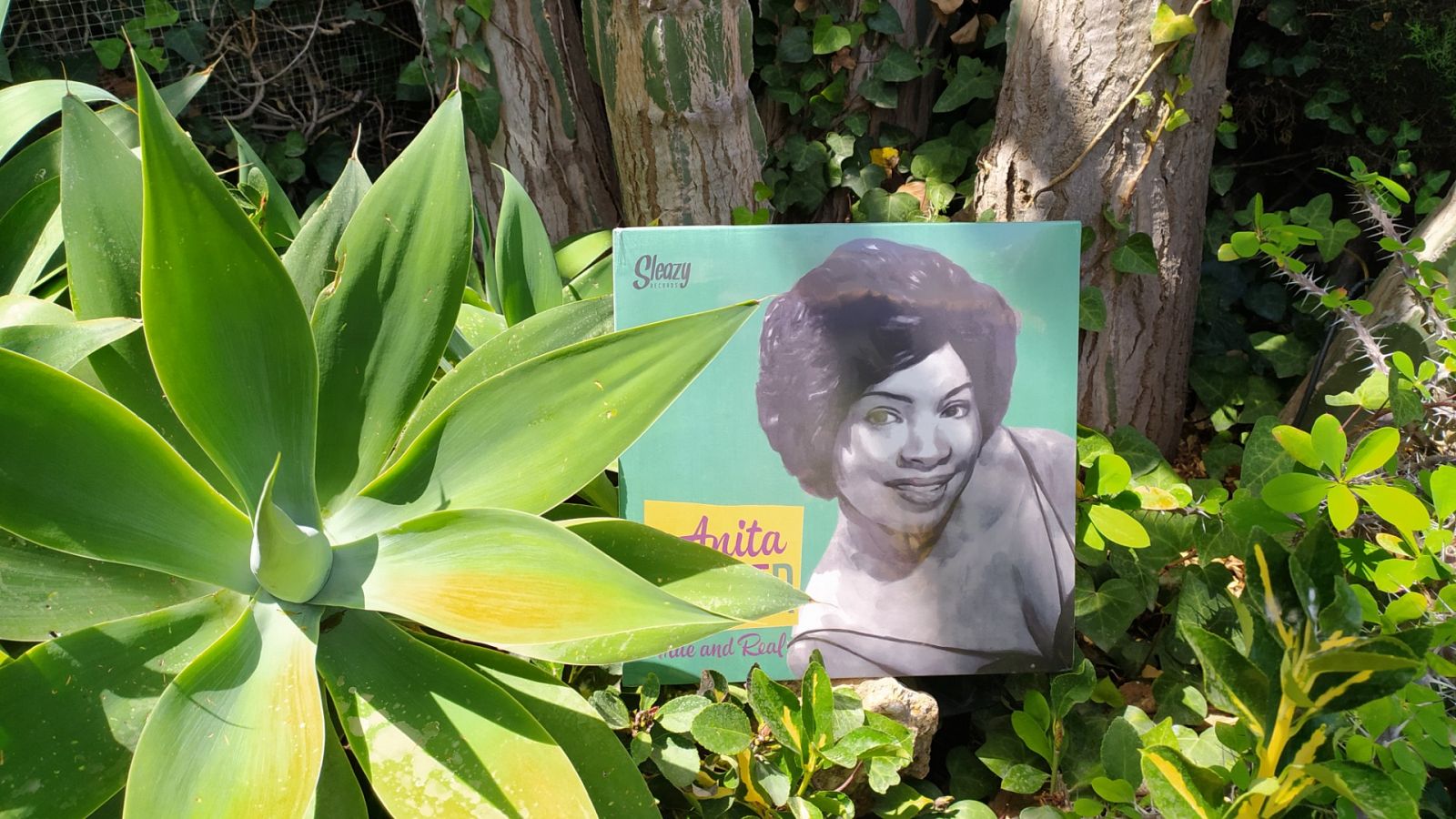 El Patillas DJ - El blues prohibido de Anita Tucker - 25/07/20 - escuchar ahora
