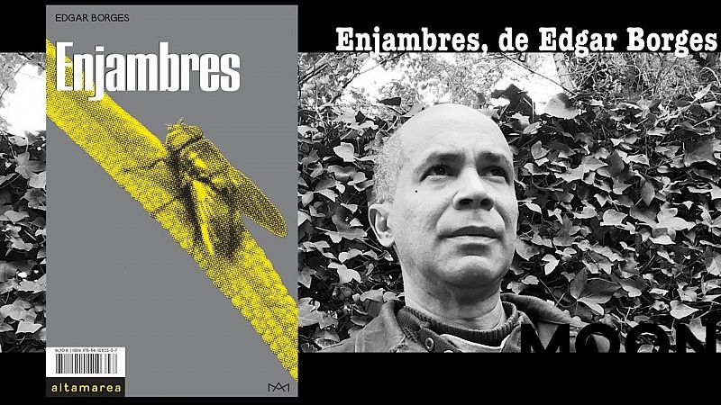 Hora américa en Radio 5 - 'Enjambres', de Edgar Borges - 28/07/20 - Escuchar ahora