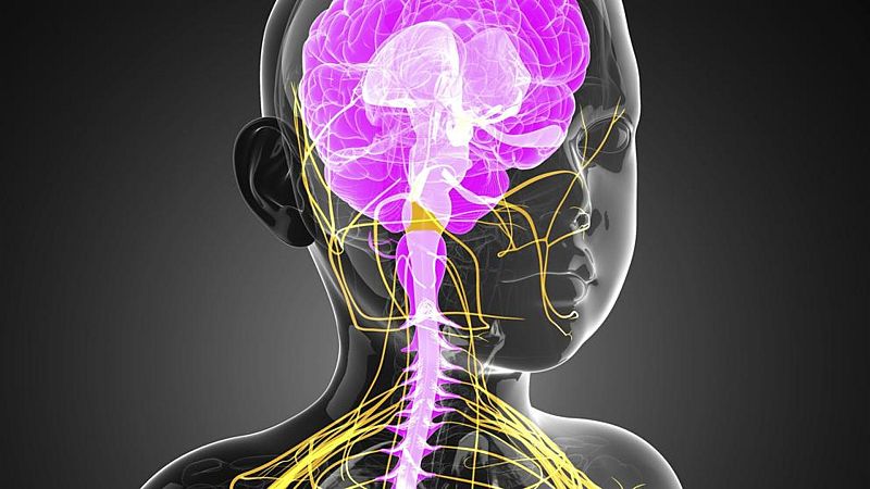 Mamás y papás - Trastornos neurológicos - 08/08/20 - Escuchar ahora