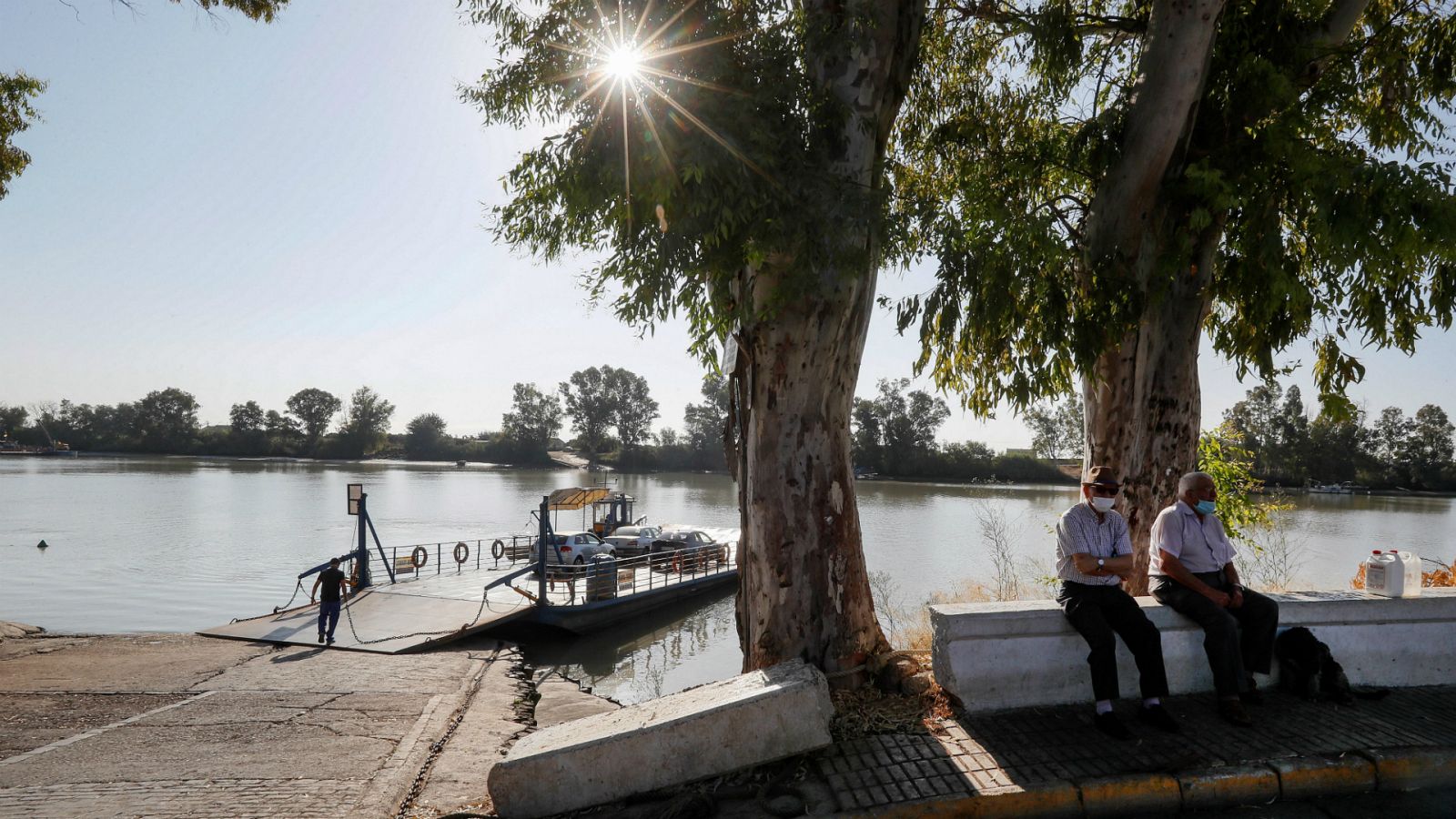 14 horas - La Junta confirma que un tipo de mosquito está detrás del brote de meningoencefalitis en Sevilla - Escuchar ahora