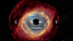 El gallo que no cesa - 40 años de "Cosmos"