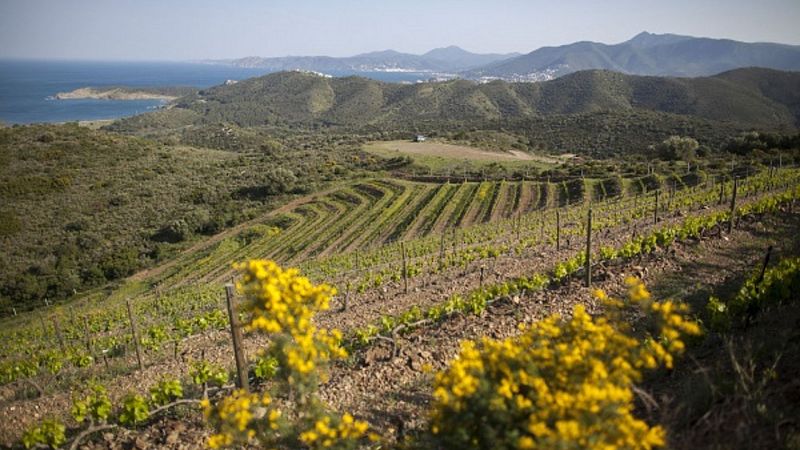 Reportajes Emisoras - Girona - Vinos del Empordá - 21/08/20 - Escuchar ahora