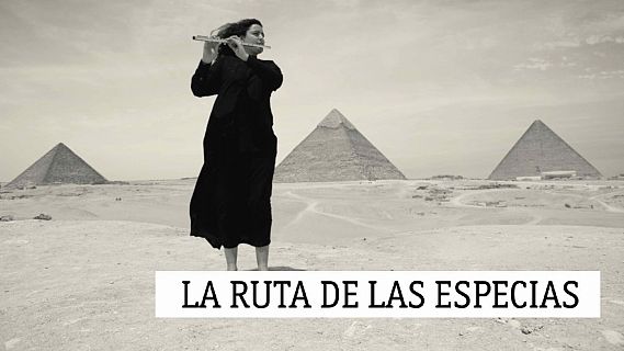 La ruta de las especias