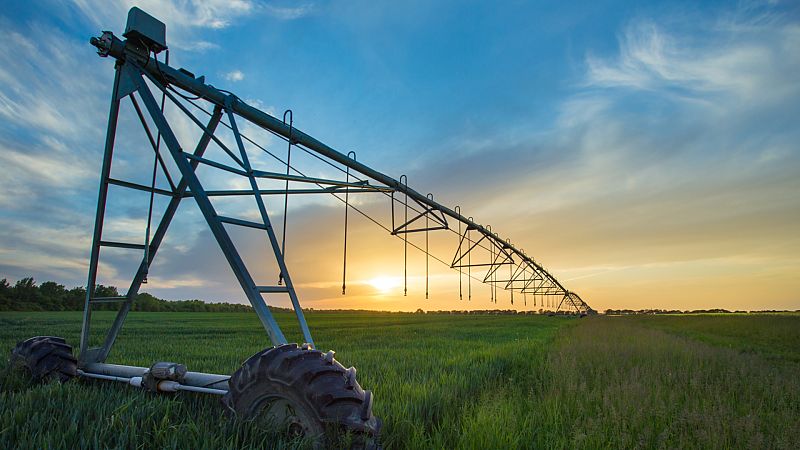 Mundo rural - Regadío - 02/09/20 - Escuchar ahora