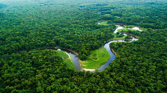 Memoria de delfín - Memoria de delfín - La Amazonia: el pulmón verde de la Tierra - 07/09/2020 - escuchar ahora