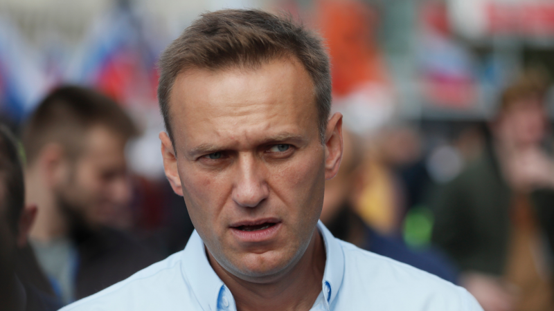 El caso Navalny y sus posibles consecuencias 