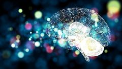 InquietaMENTE - Generar neuronas cerebrales - 08/09/20