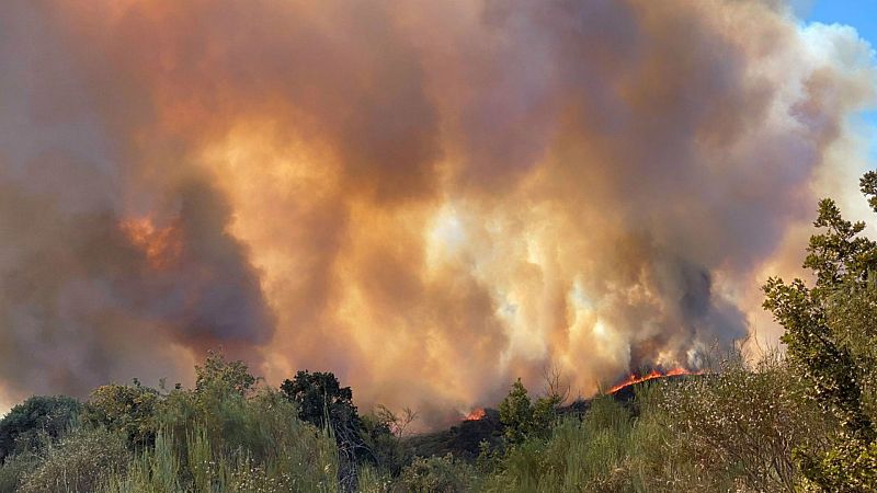  14 horas - 11 incendios activos han quemado ya más de 6.000 hectáreas en Ourense - Escuchar ahora