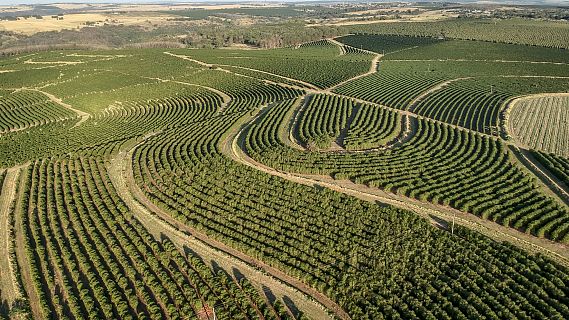 Mundo rural