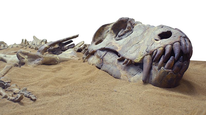  Seccion ciencia: Nueva extinción masiva - Escuchar ahora 