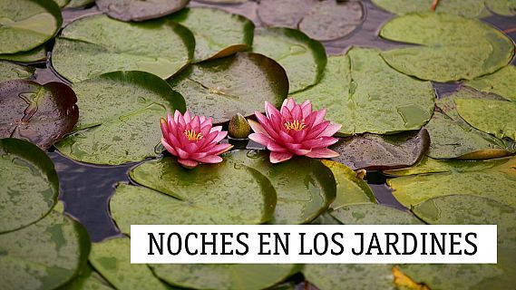 Noches en los jardines