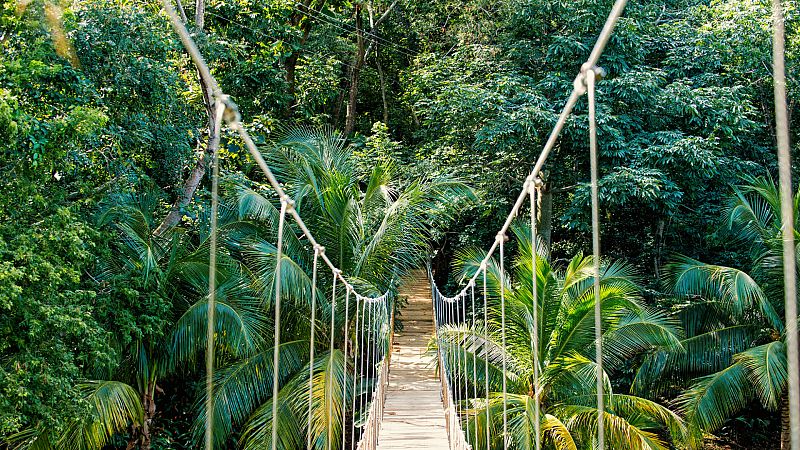 InquietaMENTE - Déficit naturaleza - 29/09/20 - Escuchar ahora