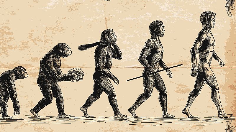  Mas ciencia - Grandes extinciones masivas - Escuchar ahora