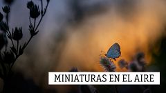 Miniaturas en el aire - Vivaldi en el súper y Sibelius en un western - 01/10/20