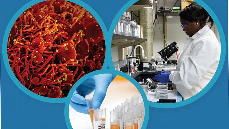 Covid-19 en la investigación contra el cáncer