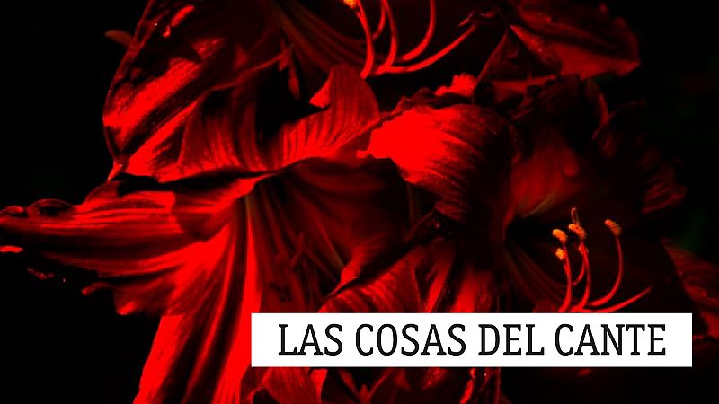 Las cosas del cante - Desde jovencita - 30/10/20 - escuchar ahora