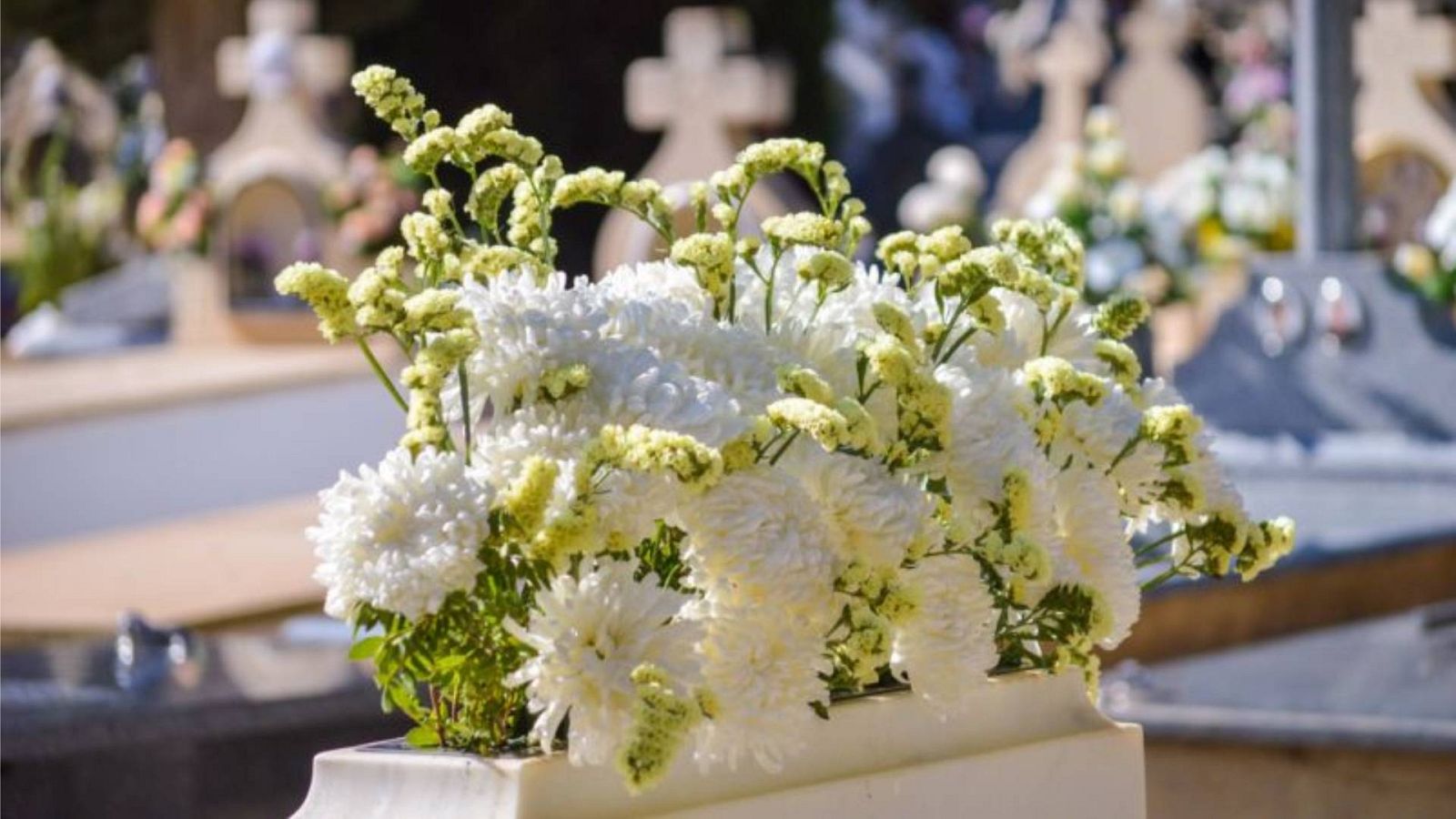 20 horas informativos Fin de semana - Tomelloso rechaza ser el Wuhan español, aunque los vecinos no se han olvidado de los 300 muertos - Escuchar ahora 