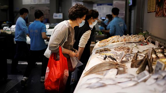 Reportajes 5 continentes