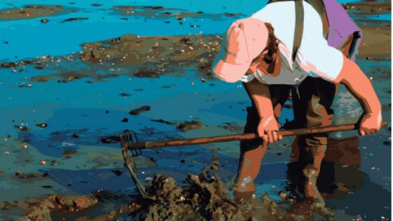 Españoles en la mar