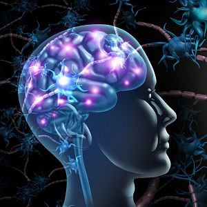 Cuáles son los secretos que esconde nuestro cerebro?