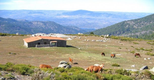 Caminantes