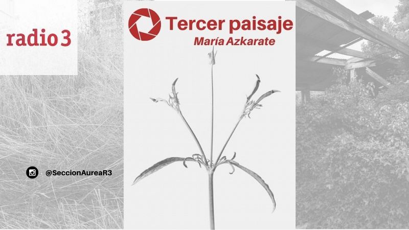  Sección Áurea - María Azkarate - Escuchar ahora 