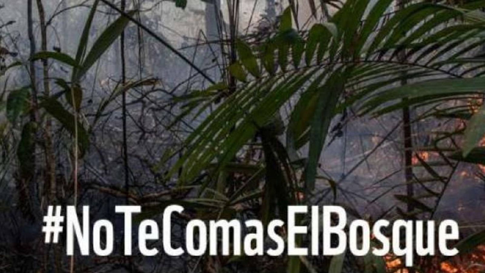 14 horas Fin de Semana - Más de un millón de firmas para regular los productos de la cesta de la compra nocivos para el planeta - Escuchar ahora 