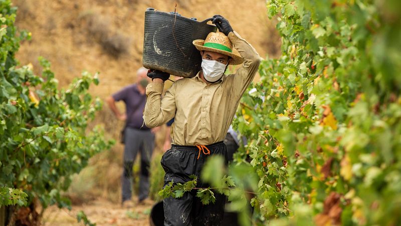  14 horas - Los migrantes están más expuestos a la COVID: lo ha pasado un 13%, frente al 10% de los españoles - Escuchar ahora