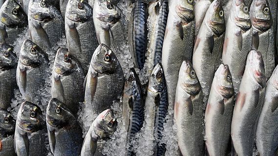 Españoles en la mar