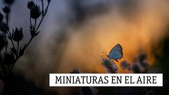 Miniaturas en el aire - Sibelius y Umbral dialogan esta noche - 22/12/20