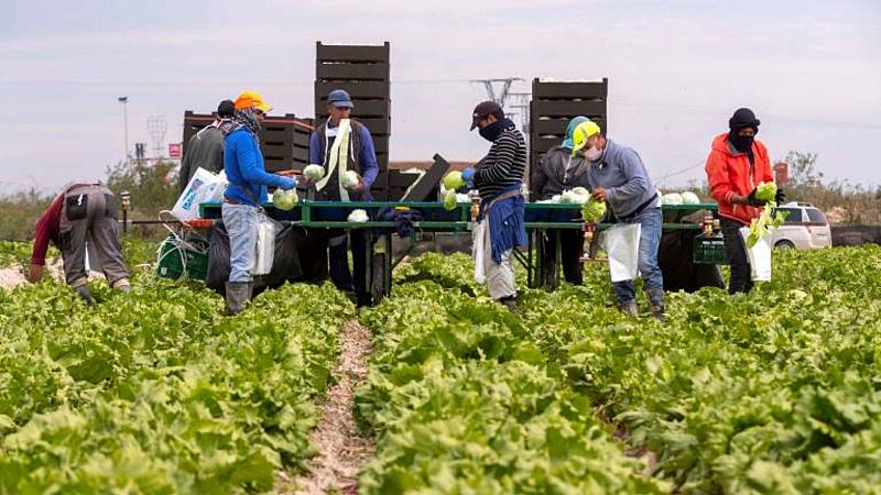 14 horas Fin de semana - Satisfaccin en el sector hortofrutcola por el acuerdo con Reino Unido que les ahorr ms de 60 mil millones en aranceles - Escuchar ahora