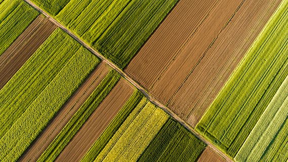 Mundo rural