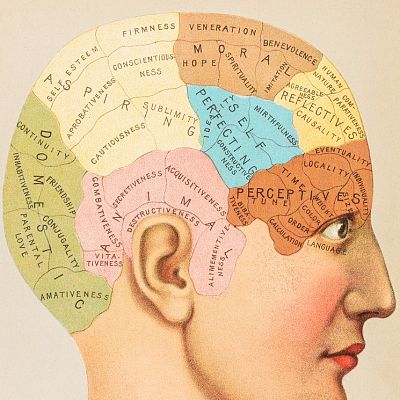 Longitud de onda - Haydn, decapitado por la frenología - 20/01/21 - escuchar ahora