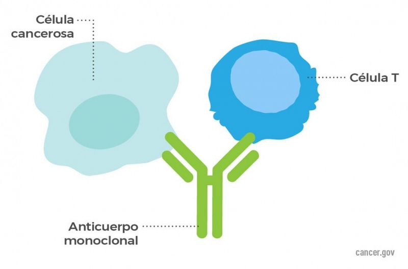 A hombros de gigantes - Anticuerpos monoclonales, esperanza contra la COVID;  cobras escupidoras; sensores para detectar formas de vida en otros mundos; dilema del tranvía, muy de actualidad - Escuchar ahora