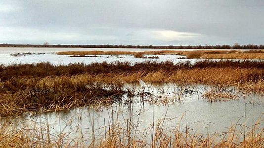 Escapadas - Escapadas - La Laguna de la Nava - 29/01/21 - Escuchar ahora