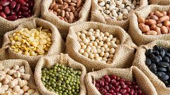 Memoria de delfín - Legumbres, saludables y sostenibles para el planeta