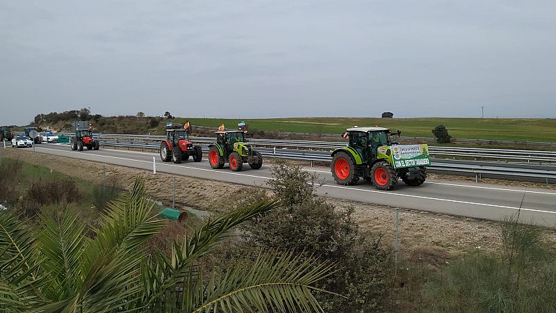  Más cerca - Tractorada en defensa del cultivo del tabaco en Extremadura - Escuchar ahora