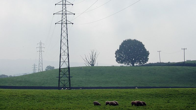 Más cerca - Pastoreo en Red: rebaños para limpiar la red eléctrica rural - Escuchar ahora