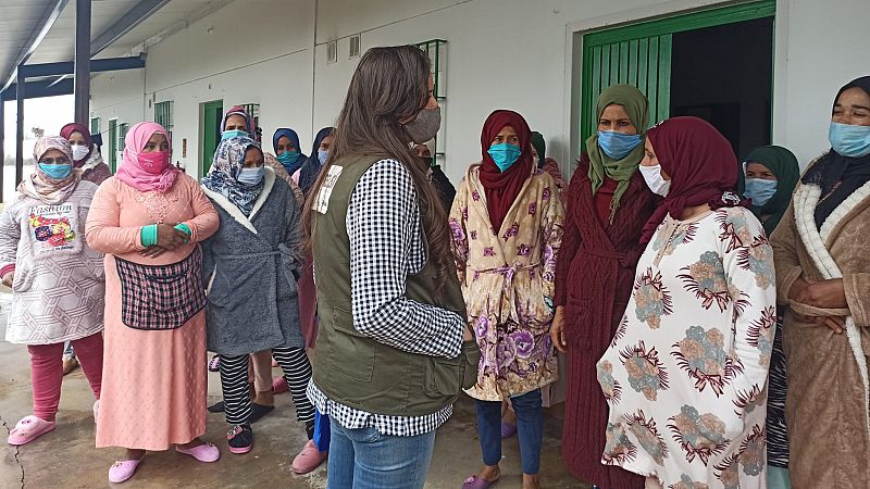 14 horas - Temporeras de la fresa marroquíes en Huelva: "Somos el principal sustento de nuestras familias" - Escuchar ahora