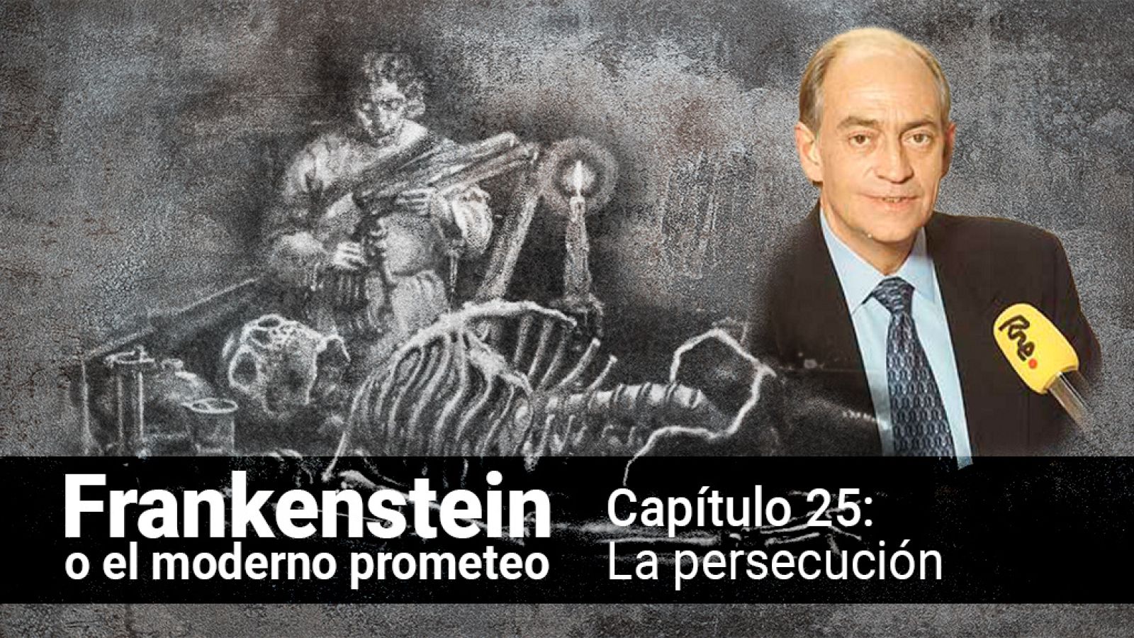 Frankenstein o el moderno Prometeo - Capítulo 25: La persecución