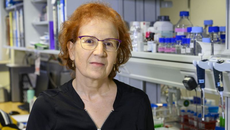  A golpe de bit - Margarita del Val, viróloga de altura en el 8M - 08/03/21 - escuchar ahora