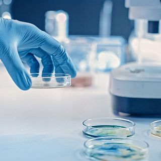 A hombros de gigantes