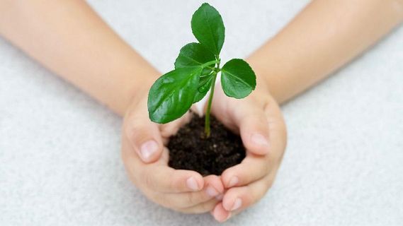 No es un día cualquiera