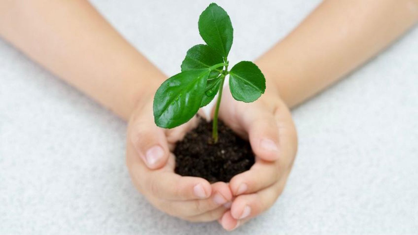 No es un día cualquiera - Jóvenes y niños por el medioambiente - Patricia Fernández de Lis - Planeta 2050 - Escuchar ahora