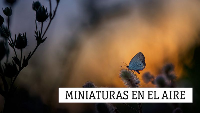 Miniaturas en el aire - beethoven más jodorowsky más achúcarro igual a calambre - 01/04/21