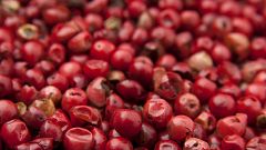 De vuelta en Radio 5 - Salud Sapiens -  Son realmente súper los súperalimentos?