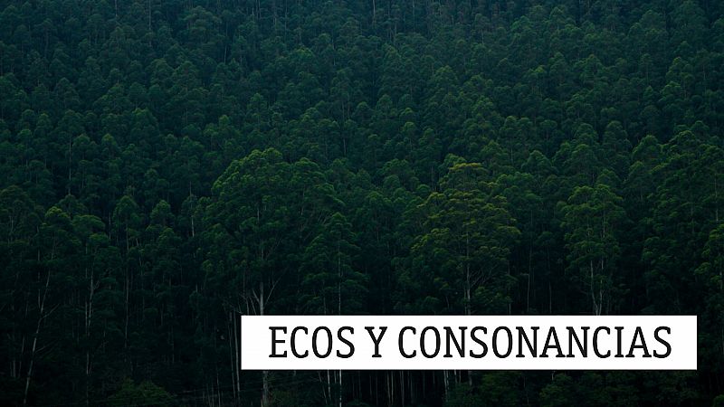 Ecos y consonancias - Dúos - 10/04/21 - escuchar ahora